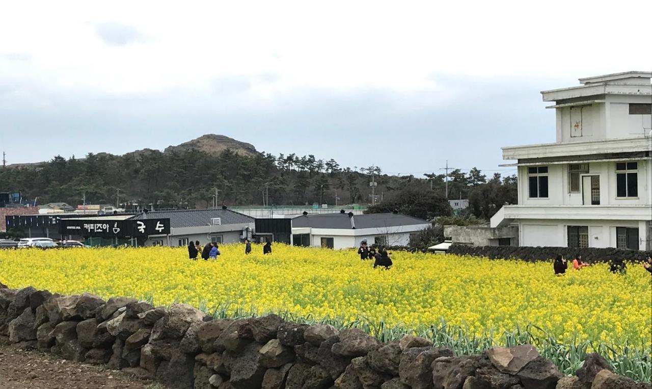Jeju Moseulpo Hotel Seogwipo Luaran gambar
