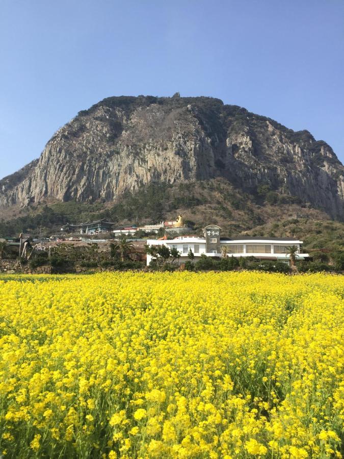 Jeju Moseulpo Hotel Seogwipo Luaran gambar