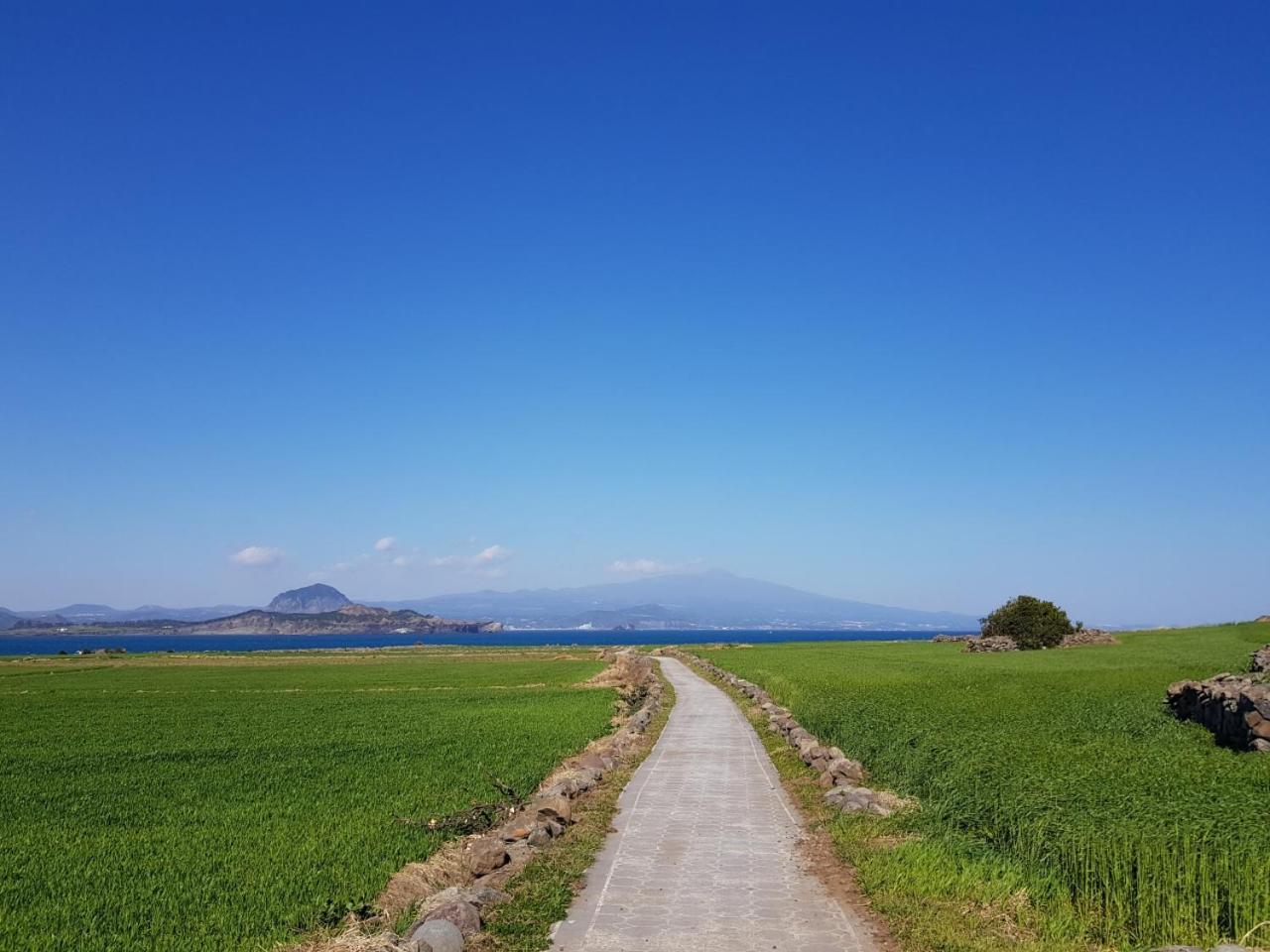 Jeju Moseulpo Hotel Seogwipo Luaran gambar